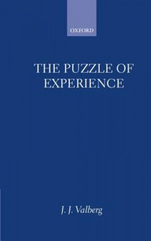 Kniha Puzzle of Experience J.J. Valberg
