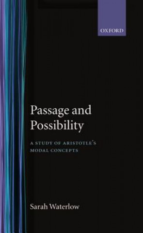 Kniha Passage and Possibility Sarah Waterlow