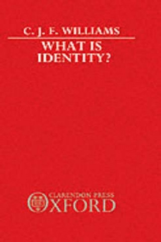 Książka What is Identity? C.J.F. Williams