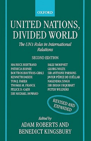 Knjiga United Nations, Divided World Adam Roberts