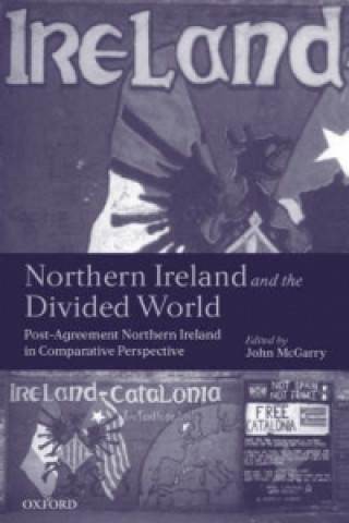 Книга Northern Ireland and the Divided World 