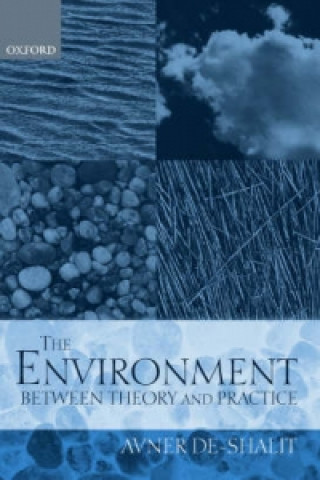 Book Environment Between Theory and Practice Avner De-Shalit