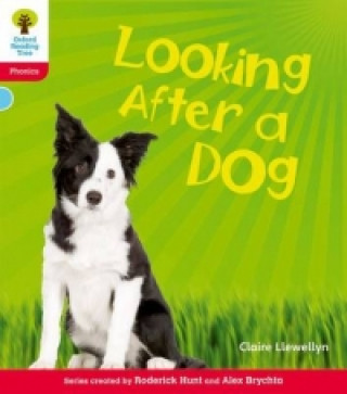 Książka Oxford Reading Tree: Level 4: Floppy's Phonics Non-Fiction: Looking After a Dog Claire Llewellyn