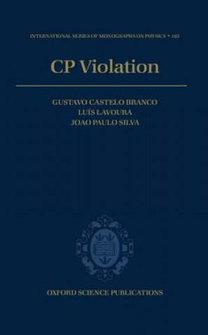 Carte CP Violation Joao Silva