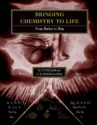 Книга Bringing Chemistry to Life Robert J. P. Williams