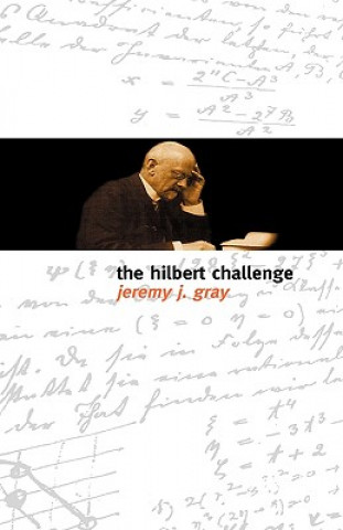 Kniha Hilbert Challenge Jeremy Gray