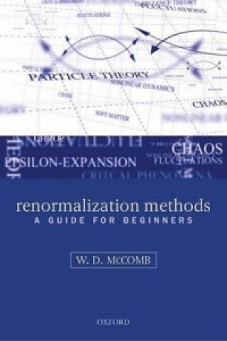 Knjiga Renormalization Methods W.D. McComb