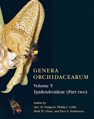 Kniha Genera Orchidacearum Volume 5 Alec M. Pridgeon