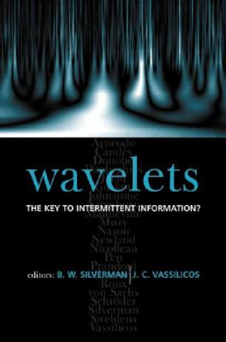 Carte Wavelets: the Key to Intermittent Information? B. W. Silverman