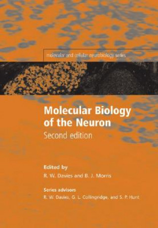 Книга Molecular Biology of the Neuron Brian J. Morris