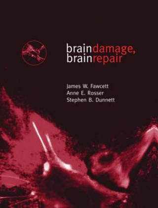 Kniha Brain Damage, Brain Repair Stephen Dunnett
