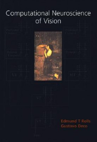 Kniha Computational Neuroscience of Vision Edmund T. Rolls