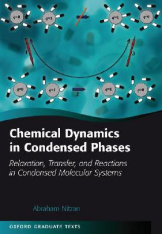 Könyv Chemical Dynamics in Condensed Phases Abraham Nitzan
