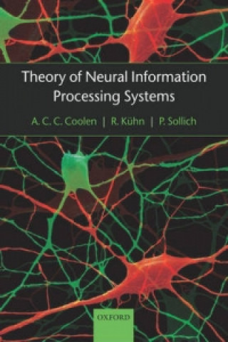 Knjiga Theory of neural information processing systems P. Sollich