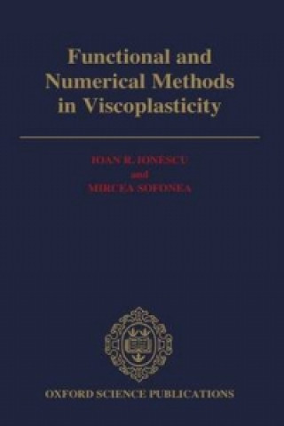 Libro Functional and Numerical Methods in Viscoplasticity Ioau R. Ionescu