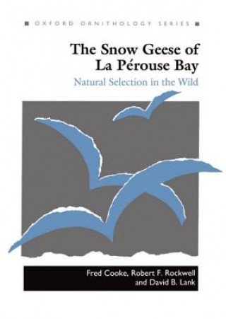 Könyv Snow Geese of La Perouse Bay David B. Lank