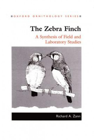 Kniha Zebra Finch Michael Bamford