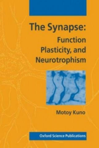 Livro Synapse Motoy Kuno