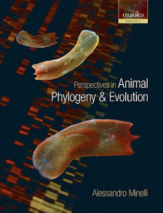 Kniha Perspectives in Animal Phylogeny and Evolution Alessandro Minelli