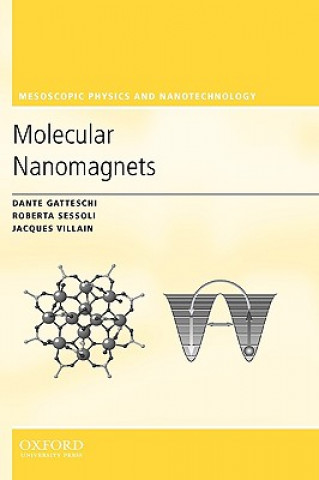 Livre Molecular Nanomagnets Dante Gatteschi