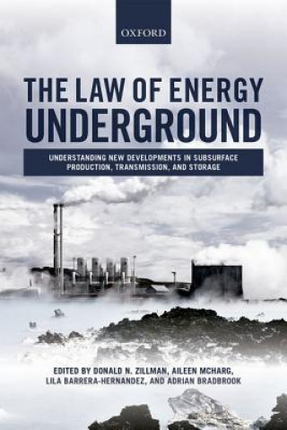 Carte Law of Energy Underground Donald Zillman