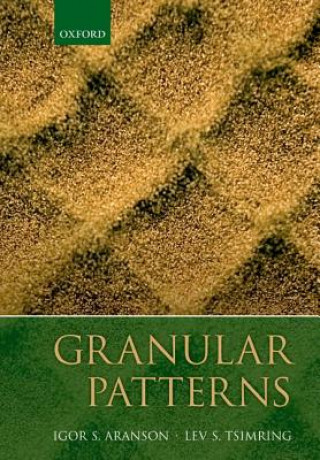 Kniha Granular Patterns Igor Aranson