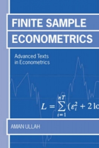 Kniha Finite Sample Econometrics Aman Ullah