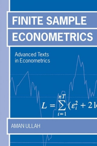 Kniha Finite Sample Econometrics Aman Ullah