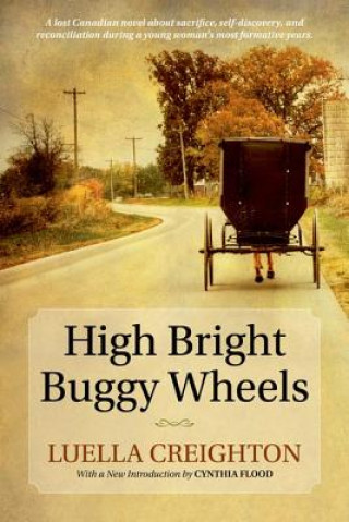 Książka High Bright Buggy Wheels Cynthia Flood