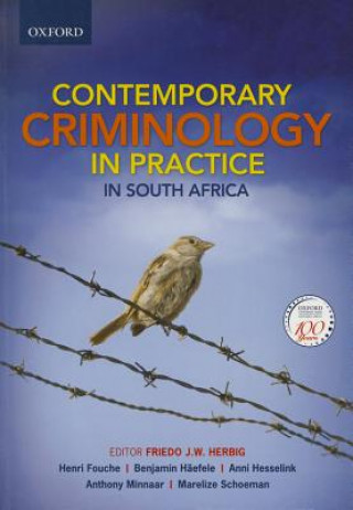 Kniha Contemporary Criminology in South Africa Anni Hesselink