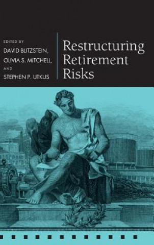 Knjiga Restructuring Retirement Risks David Blitzstein