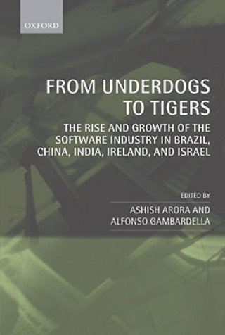 Kniha From Underdogs to Tigers Ashish Arora