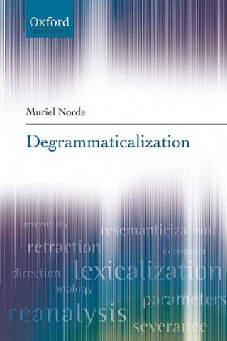 Buch Degrammaticalization Muriel Norde