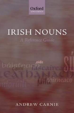 Kniha Irish Nouns Andrew Carnie