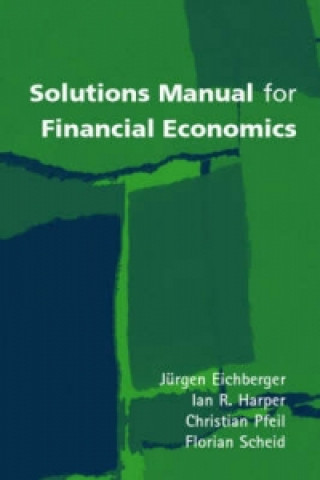 Kniha Solutions Manual for Financial Economics Jurgen Eichberger