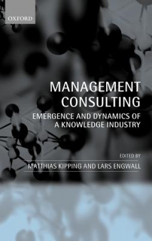 Kniha Management Consulting Matthias Kipping