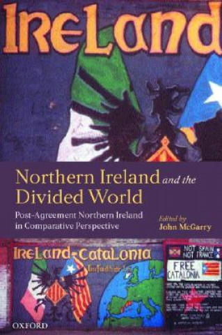 Könyv Northern Ireland and the Divided World John McGarry