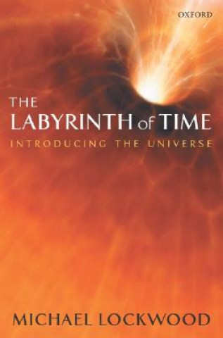 Kniha Labyrinth of Time Michael Lockwood