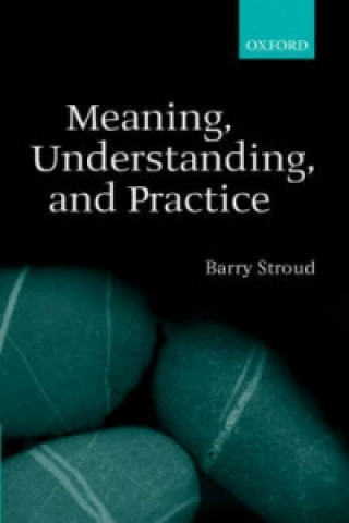 Книга Meaning, Understanding, and Practice Barry Stroud