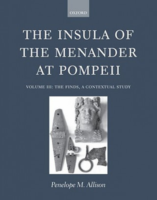 Kniha Insula of the Menander at Pompeii Penelope M. Allison