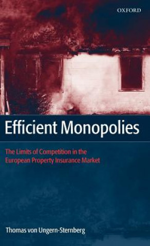 Kniha Efficient Monopolies Thomas Von Ungern-Sternberg