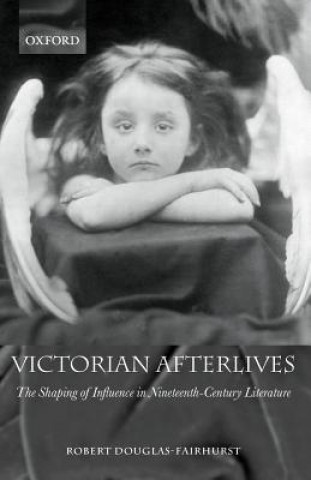 Könyv Victorian Afterlives Robert Douglas-Fairhurst