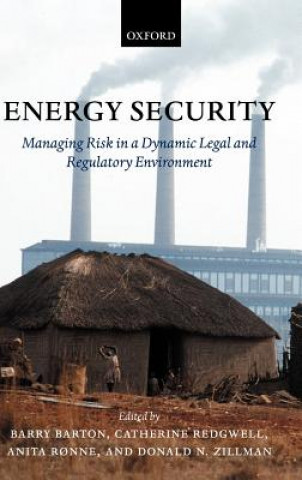 Könyv Energy Security Barry Barton
