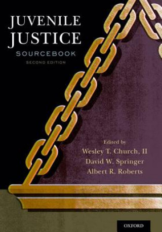 Knjiga Juvenile Justice Sourcebook Wesley T. Church II