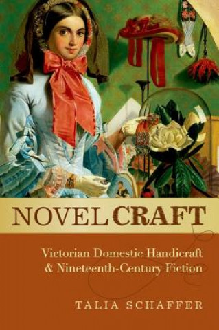 Knjiga Novel Craft Talia Schaffer