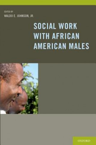 Kniha Social Work With African American Males Waldo E. Johnson