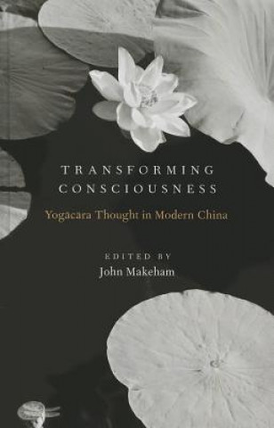 Kniha Transforming Consciousness John Makeham