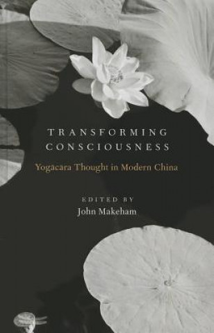 Libro Transforming Consciousness John Makeham