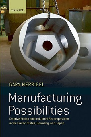 Knjiga Manufacturing Possibilities Gary Herrigel