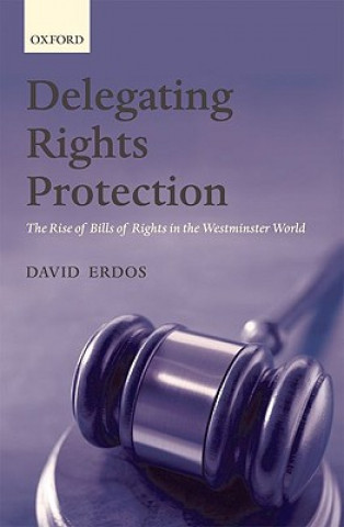 Könyv Delegating Rights Protection David Erdos